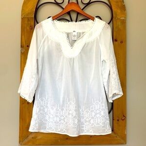 Esley sheer tunic embroidered top